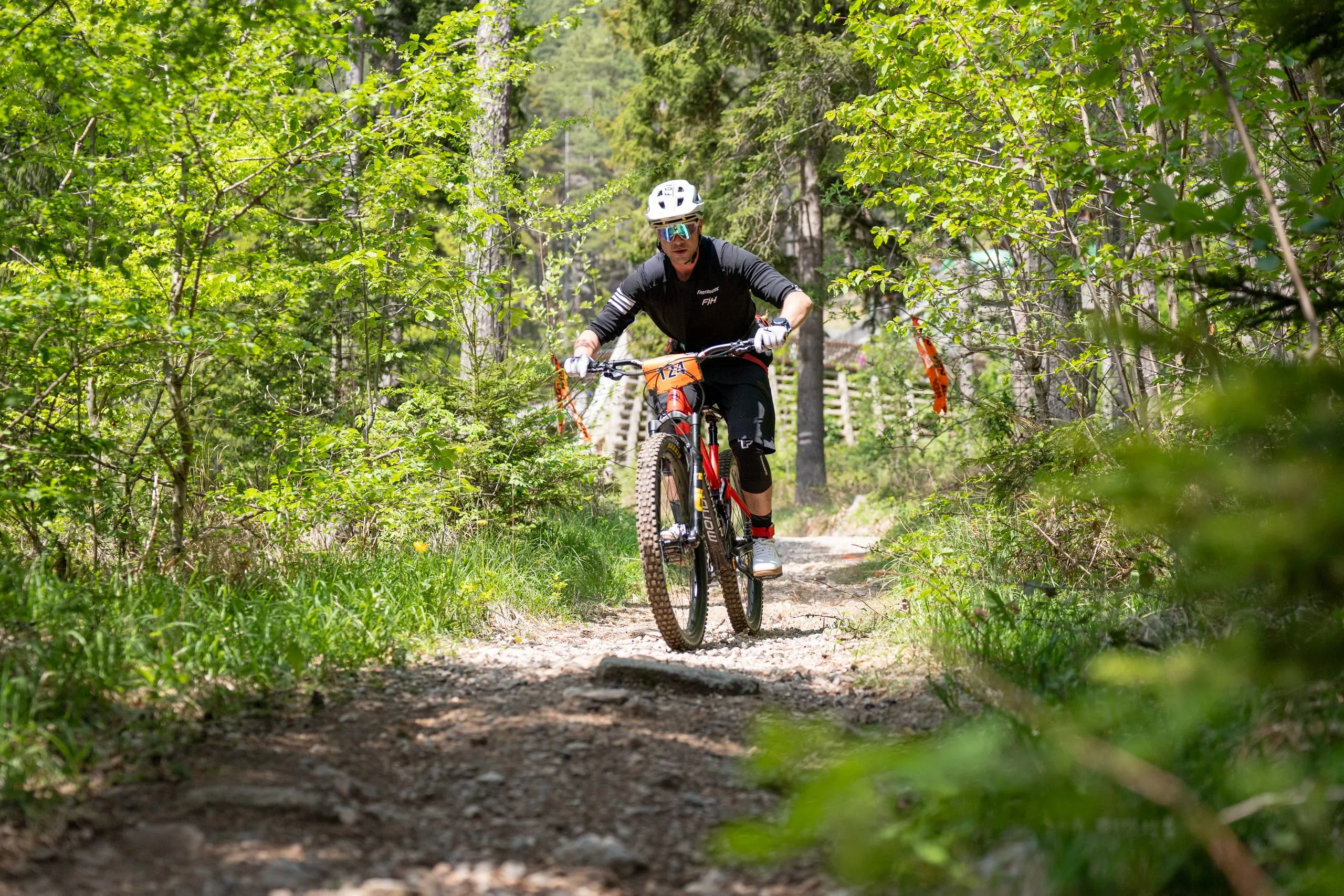 Singletrail im hellgrünen Buchenwald: Fahrer rollen über Steine und Wurzeln auf die Kamera zu
