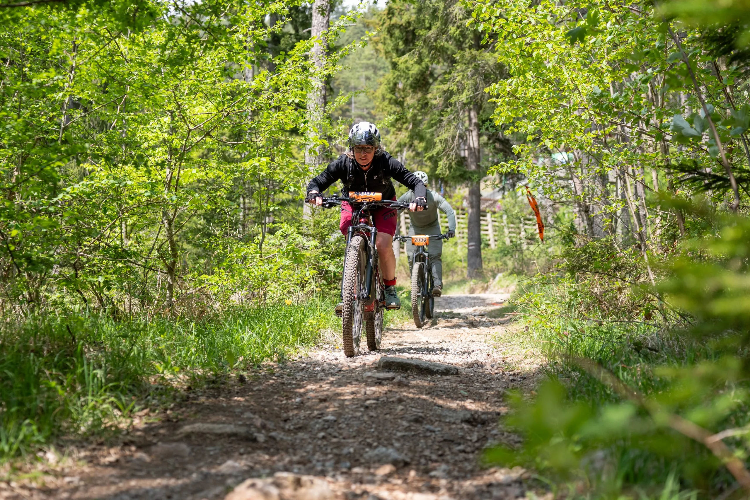 Singletrail im hellgrünen Buchenwald: Fahrer rollen über Steine und Wurzeln auf die Kamera zu