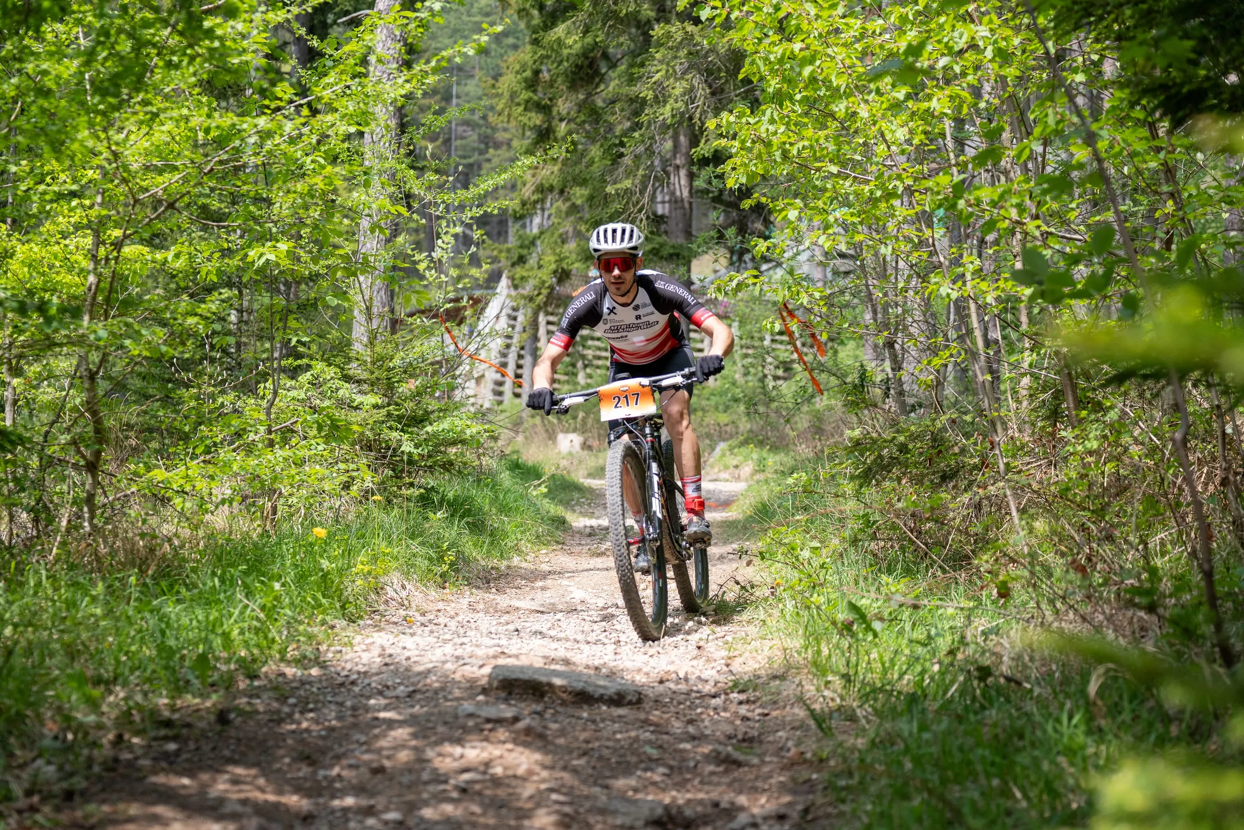 Singletrail im hellgrünen Buchenwald: Fahrer rollen über Steine und Wurzeln auf die Kamera zu