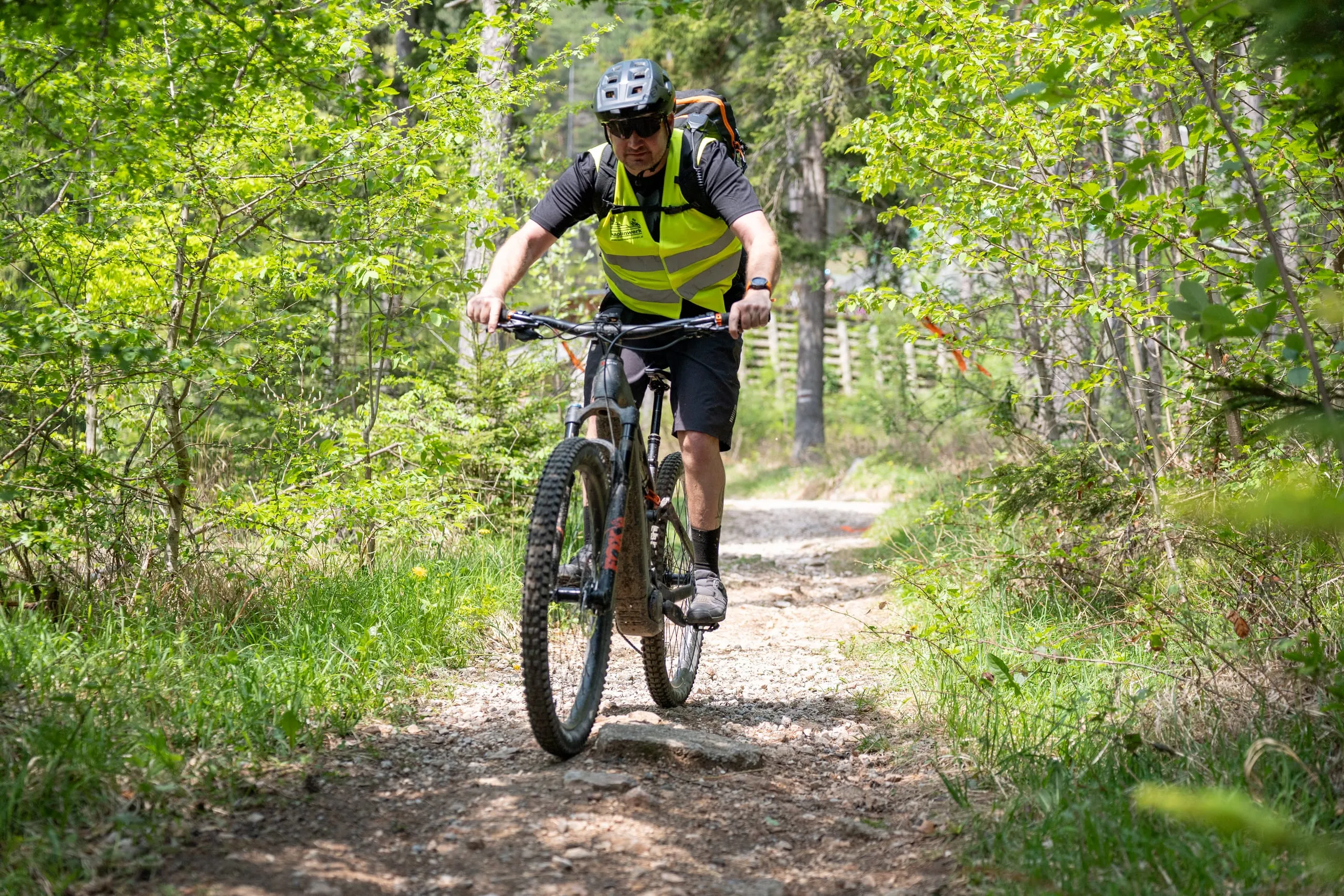 Singletrail im hellgrünen Buchenwald: Fahrer rollen über Steine und Wurzeln auf die Kamera zu