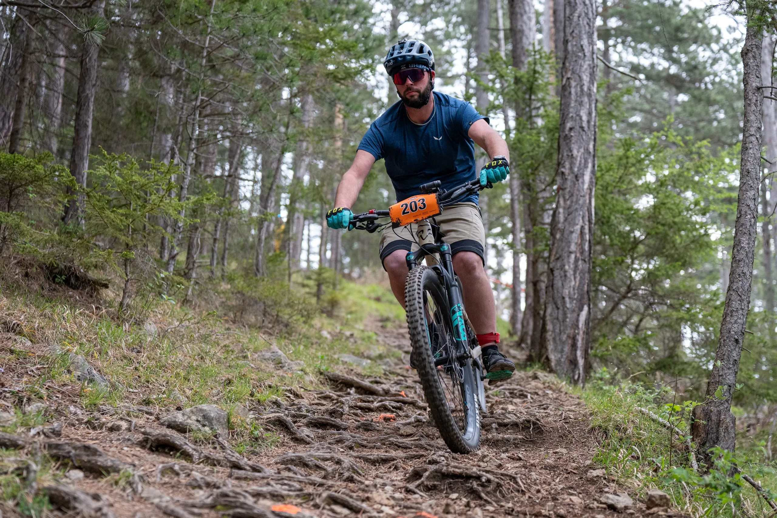 Steile Wurzelabfahrt im lichten Kiefernwald, die Wurzeln im Vordergrund sind orange markiert