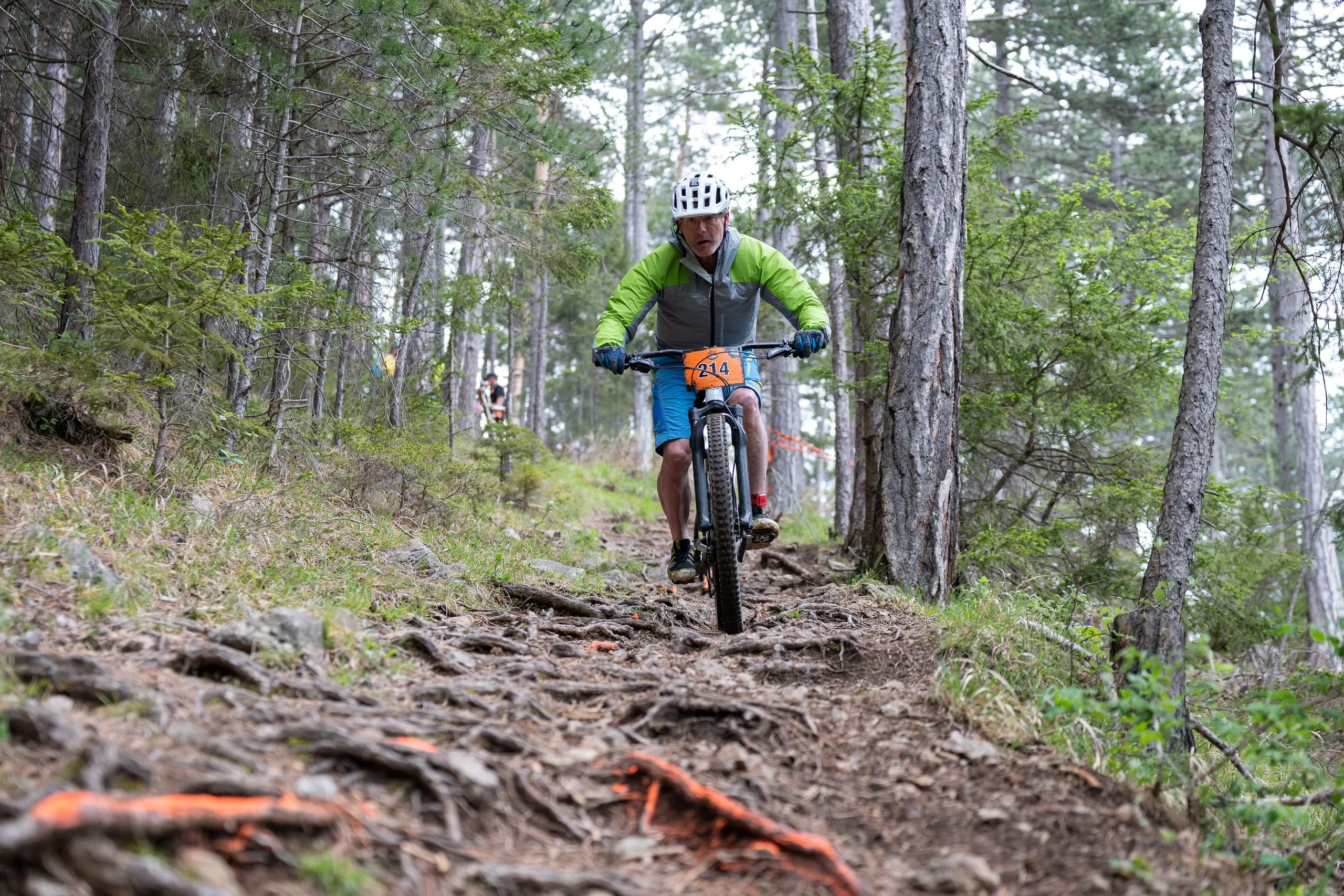 Steile Wurzelabfahrt im lichten Kiefernwald, die Wurzeln im Vordergrund sind orange markiert