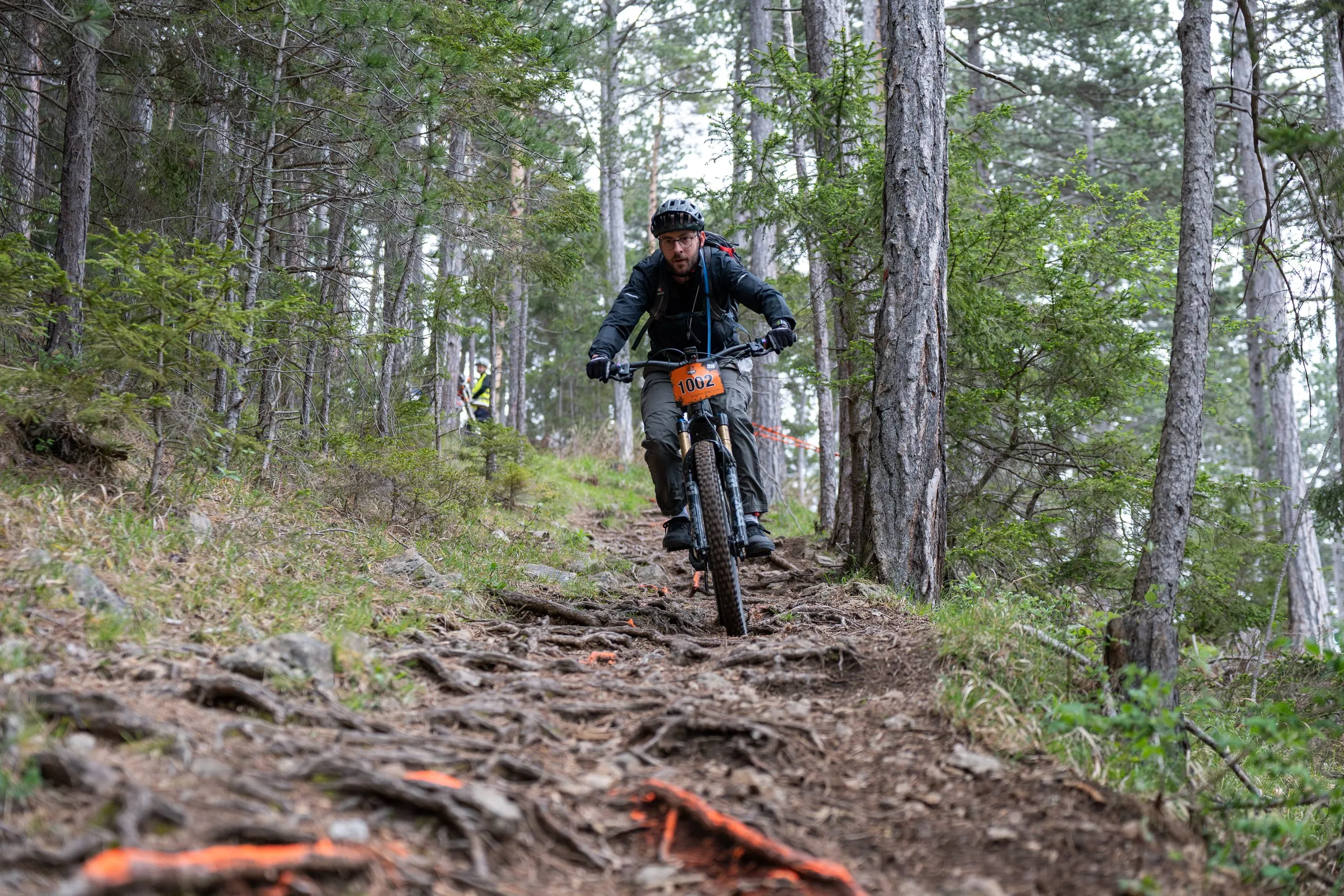 Steile Wurzelabfahrt im lichten Kiefernwald, die Wurzeln im Vordergrund sind orange markiert