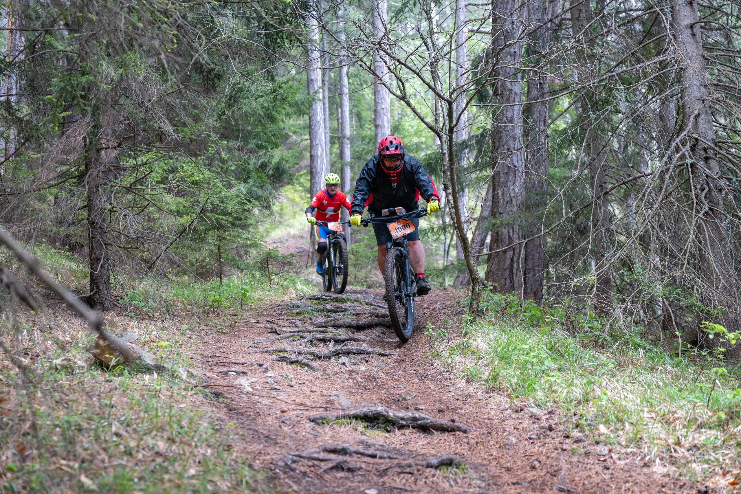 Zwei Fahrer auf dem Waldweg mit Wurzelstufen, hinten einer im roten Trikot