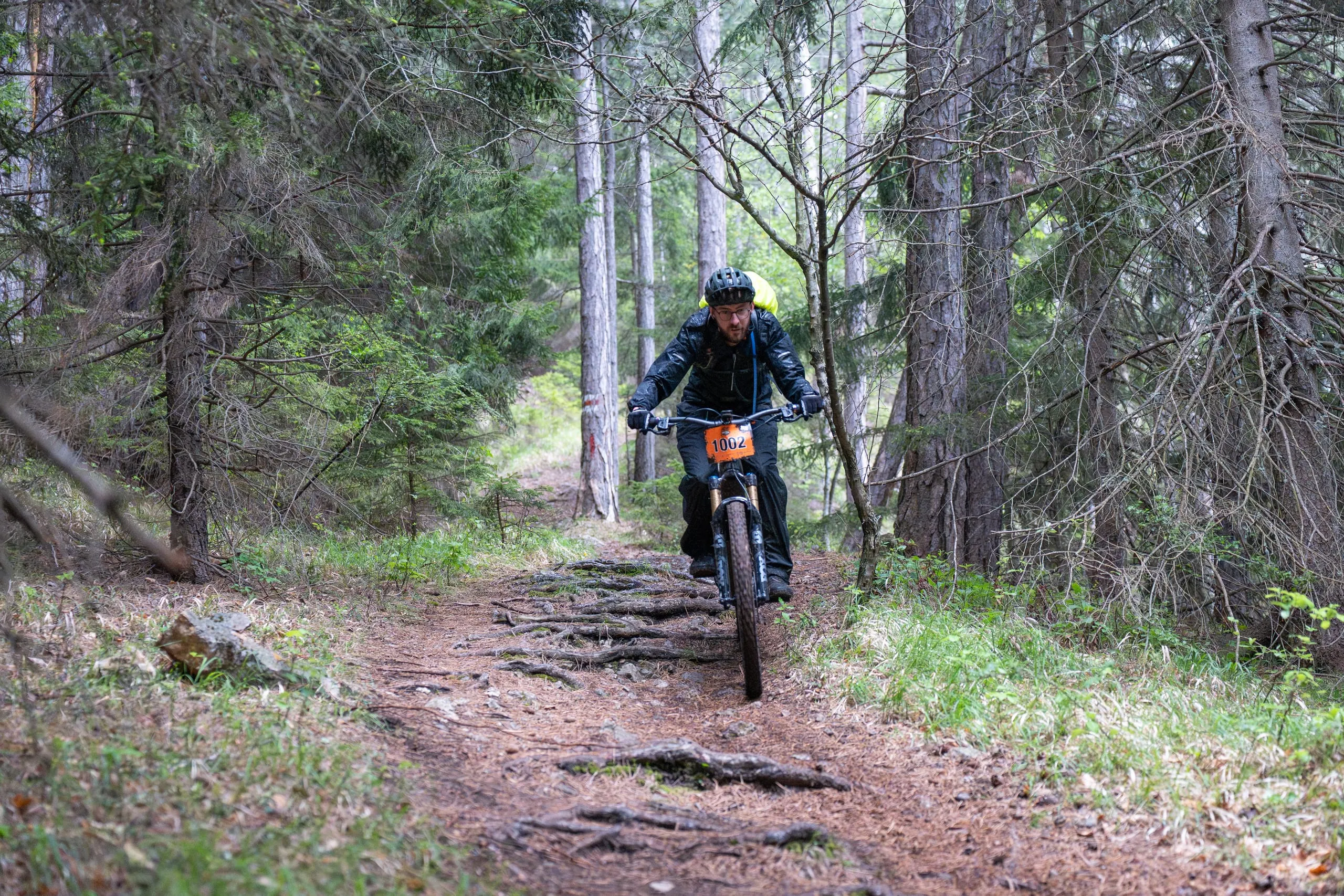 Schmaler Waldweg mit Wurzelstufen im dunklen Fichtenwald, Fahrer kommen auf die Kamera zu