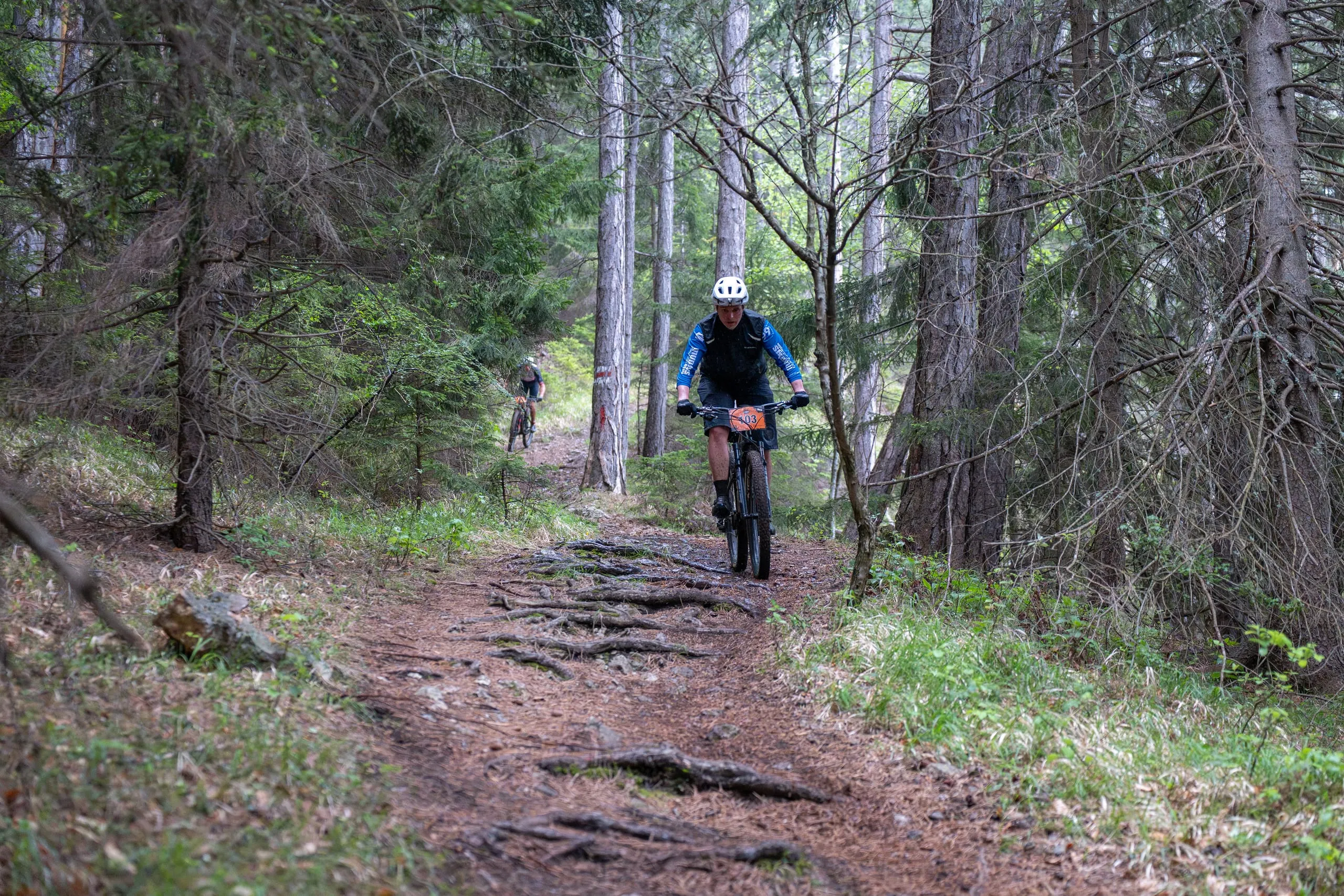 Schmaler Waldweg mit Wurzelstufen im dunklen Fichtenwald, Fahrer kommen auf die Kamera zu