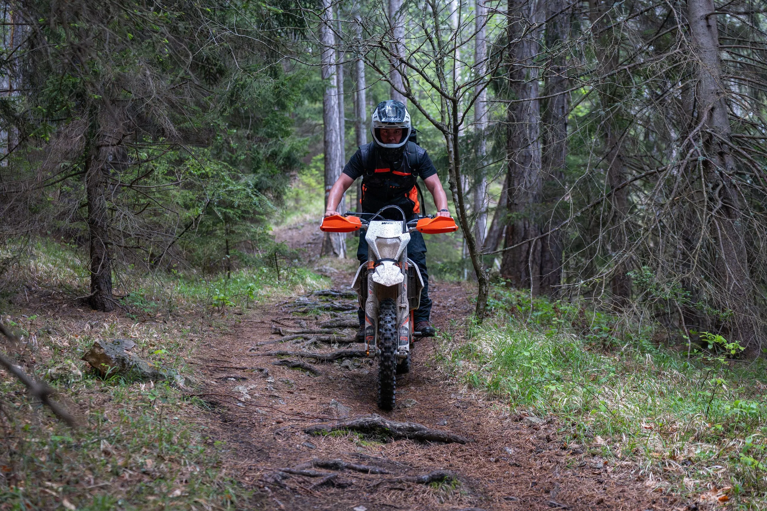 Ein Motorradfahrer auf einer Enduro fährt die Strecke im Fichtenwald ab