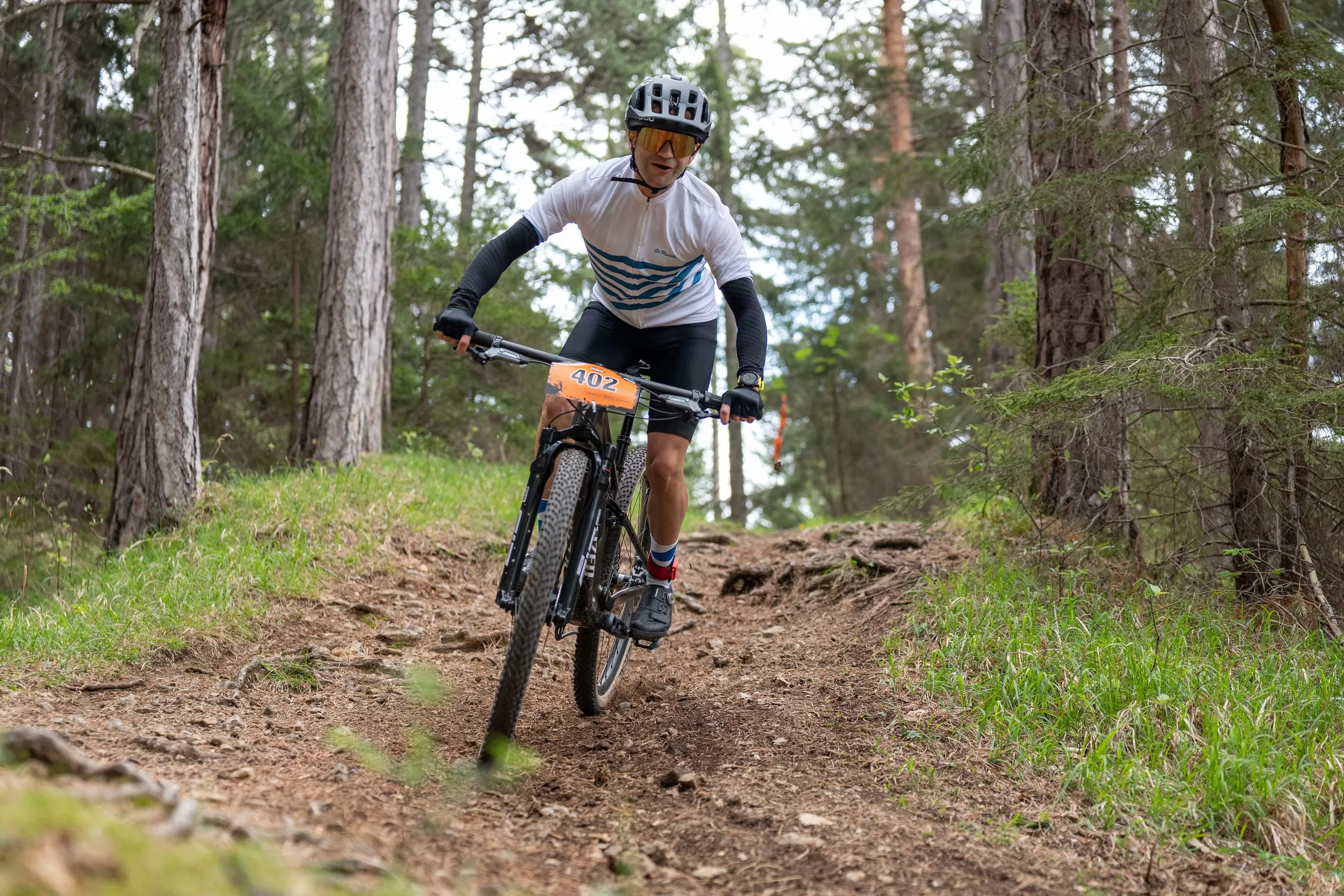 Ein Fahrer im weiß-grauen Trikot fährt konzentriert über den Waldtrail mit Wurzeln