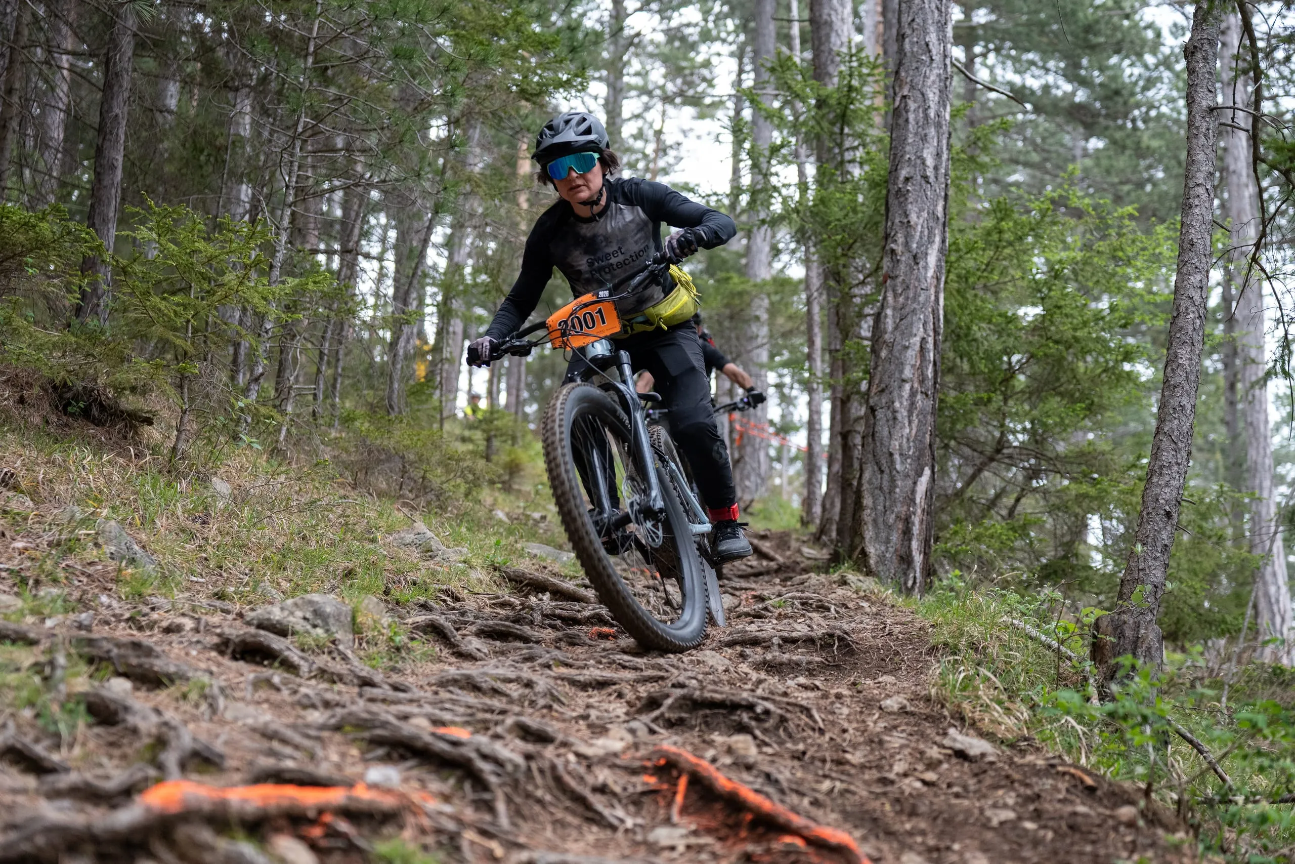 Ein Fahrer auf einem E-Bike kommt die Wurzelabfahrt herunter, im Vordergrund leuchten orange markierte Wurzeln