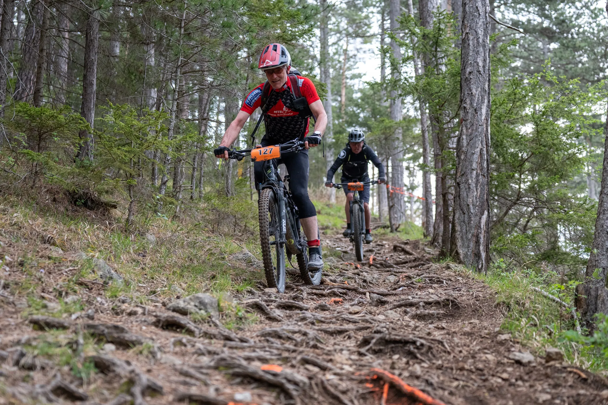 Zwei Fahrer kommen hintereinander eine steile Wurzelabfahrt im Kiefernwald herunter, im Vordergrund orange Markierung